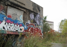 Graffiti Field