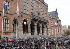 Bikefest