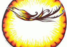 Solar Bird