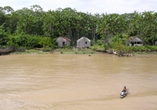 Border of the Amazon river
