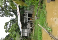 Tradition Orang Sungai River House