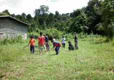 Tree Planting along the Kinabatangan River