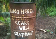 Elephant Human Conflict management