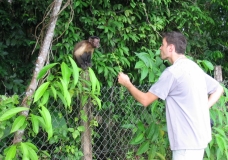 Monkey talk