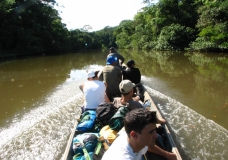 On the way to the heart of the jungle