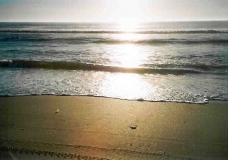 Amaneciendo en el Mar