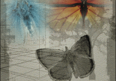 Butterfly Power