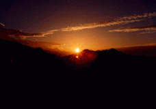 Joy in the Sun Rise