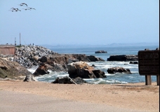 Santa Cruz Home Town