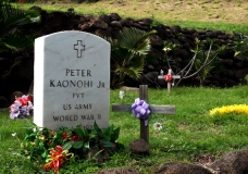 Maui Cemetery