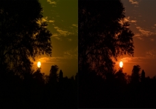 Diffrent Colour Tress!