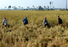 cambodia: phnom penh