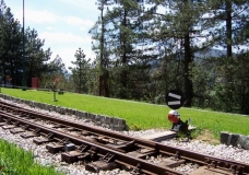 Narrow Railway Sign
