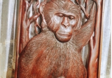 Chipanzee board