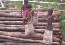 5-6yrs boy collecting garbage