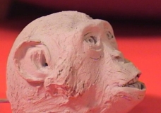 Chimpanzee Sculpture