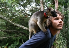 Paul with a Tree Kangaroo