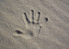 Palm Imprint