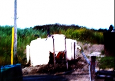 Front Tank