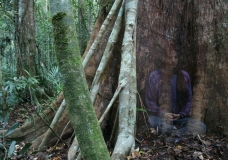 Meditation in the Forest