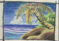 tropical
