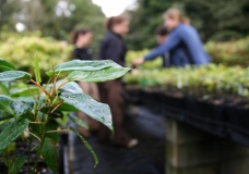 Ecological Restoration