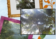 Tree  Is our friend