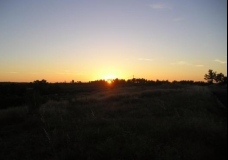 above the horizon