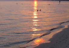 Florida