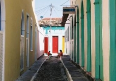 viela