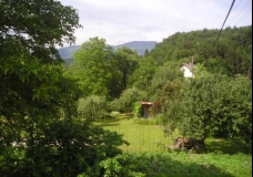 green paradise