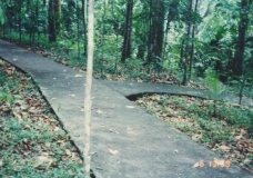 Cross Roads