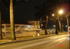 Avenida das Palmeiras
