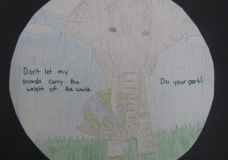 the elephants care