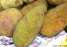 Kathal (Jackfruit)