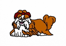 Moppy The Shih-Tzu