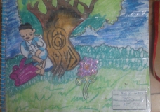 A Boy's Journey