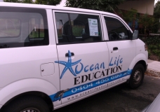 Ocean Life Education shows their spport!