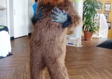 Orangutan to support local!