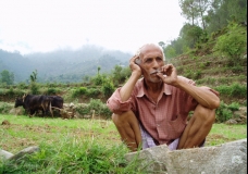 Old Farmer