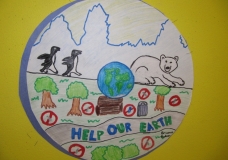 Save The Polar Bears