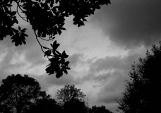 Eye of the Storm