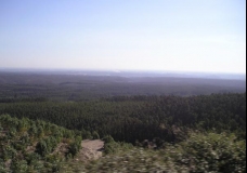 Green sea