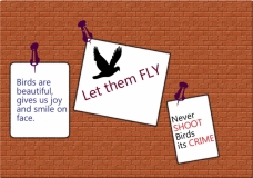 Let them fly!
