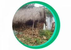 Rural Village