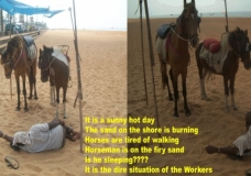 Dire worker