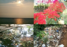 Pollution