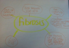 Fibrosis