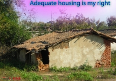 Housing Right