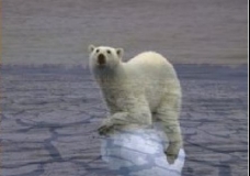 Global warming